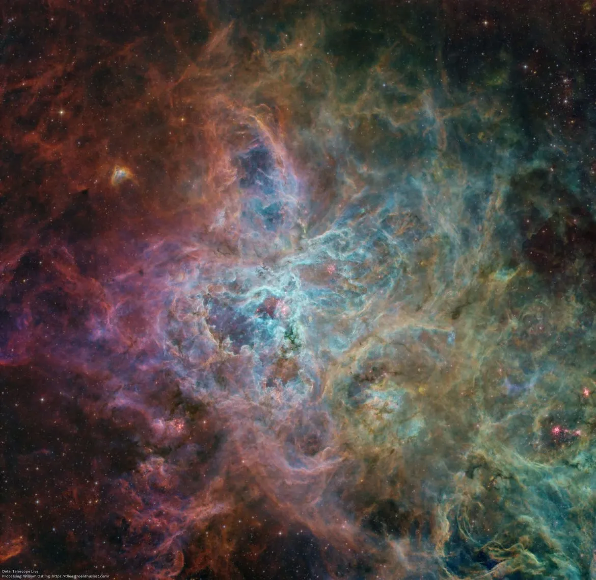 24139 tarantula nebula binoculars