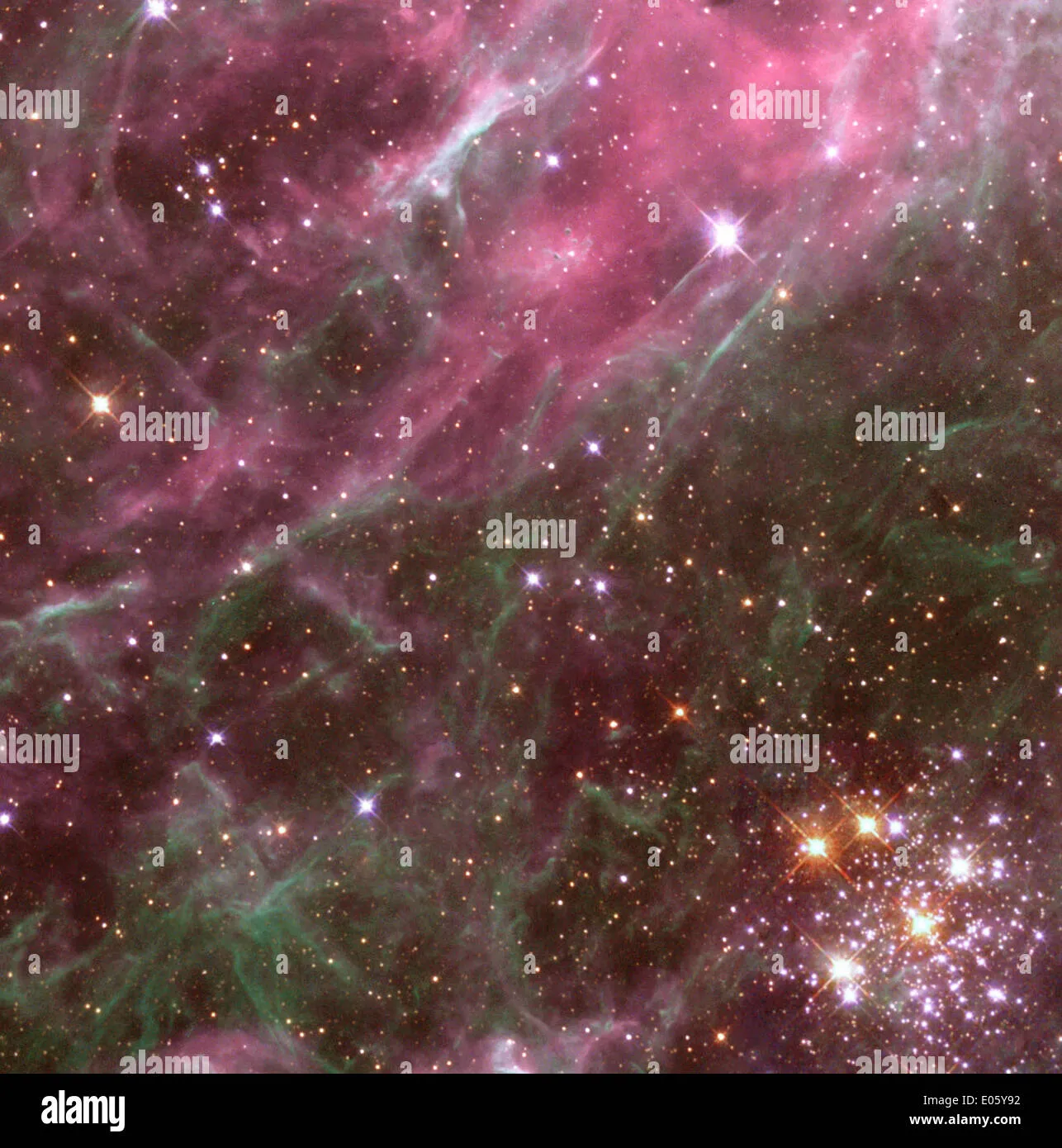 24139 tarantula nebula equipment