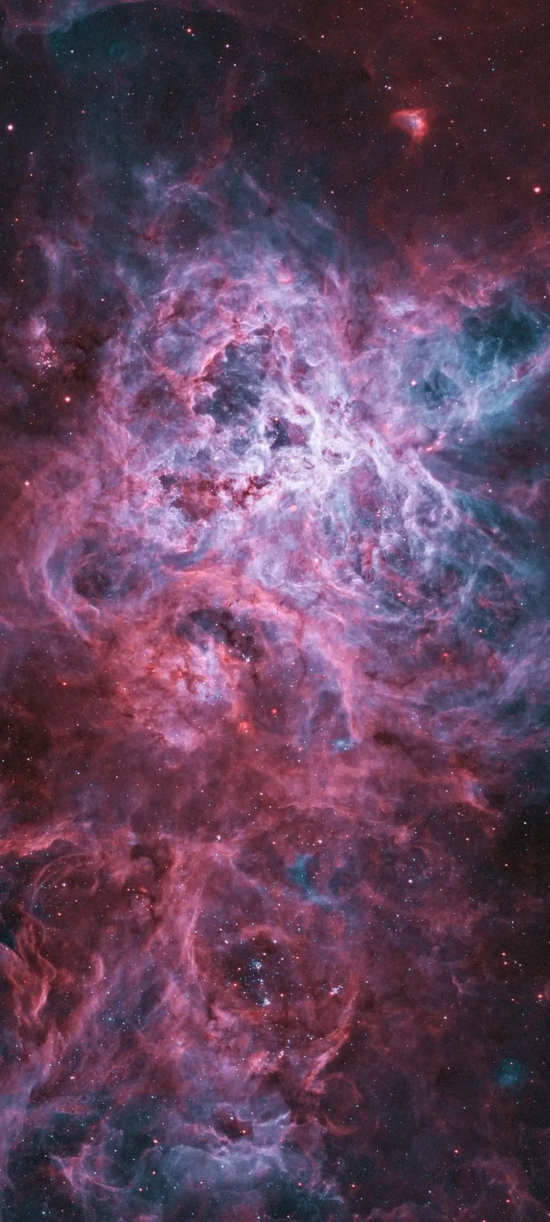 /img/24139-tarantula-nebula-future.webp