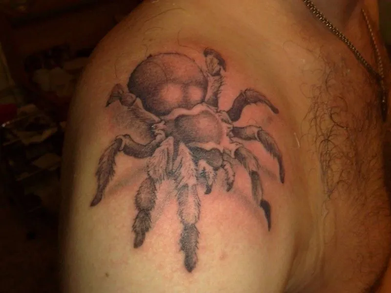 24149 tarantula tattoo placement