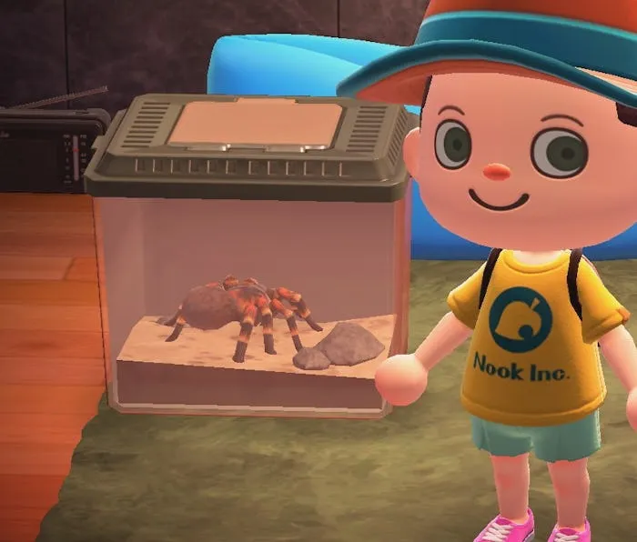 24153 animal crossing tarantula approach