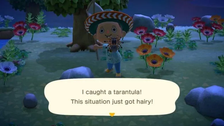 24161 animal crossing tarantula avoidance