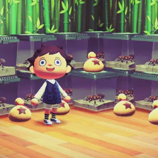 /img/24161-animal-crossing-tarantula-farm.webp