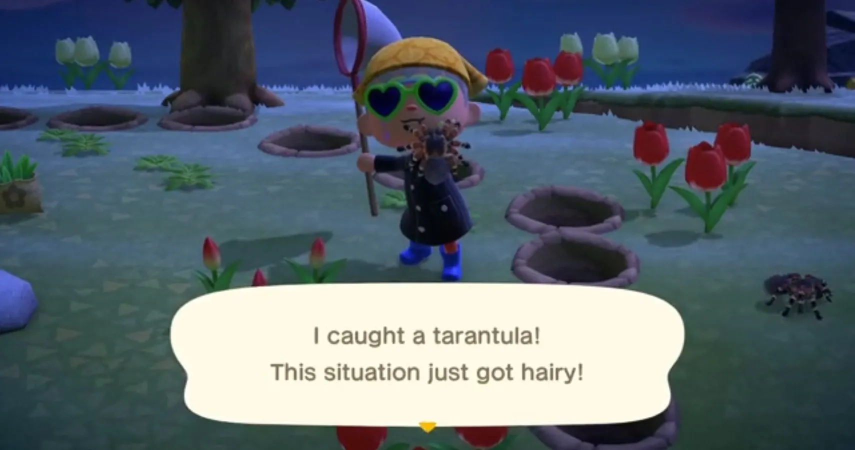 24161 animal crossing tarantula island