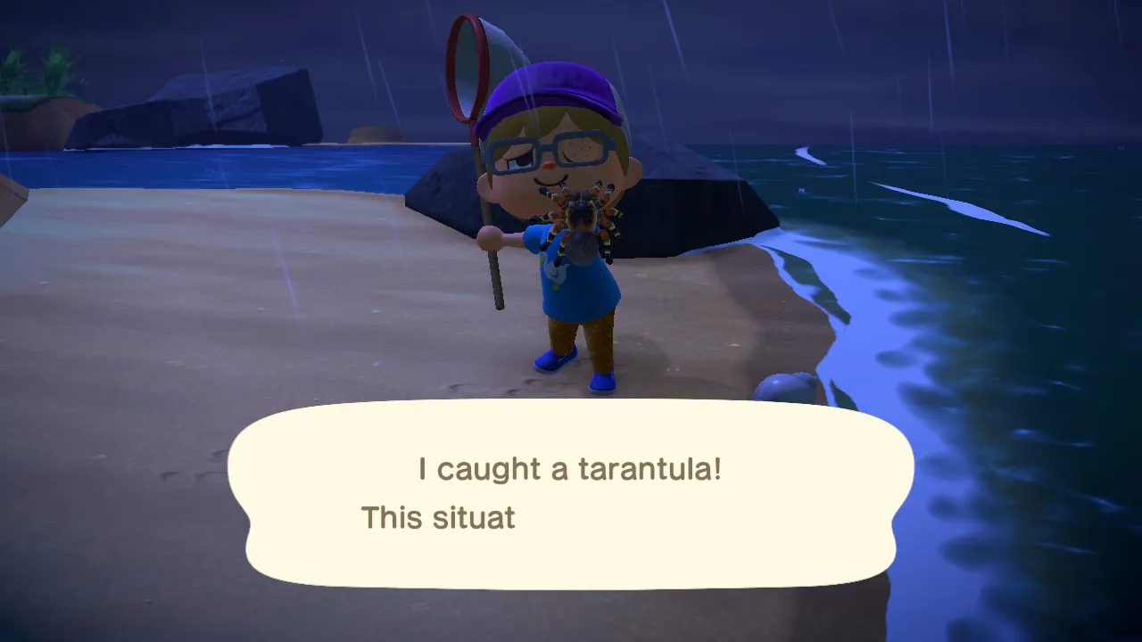 24164 animal crossing net