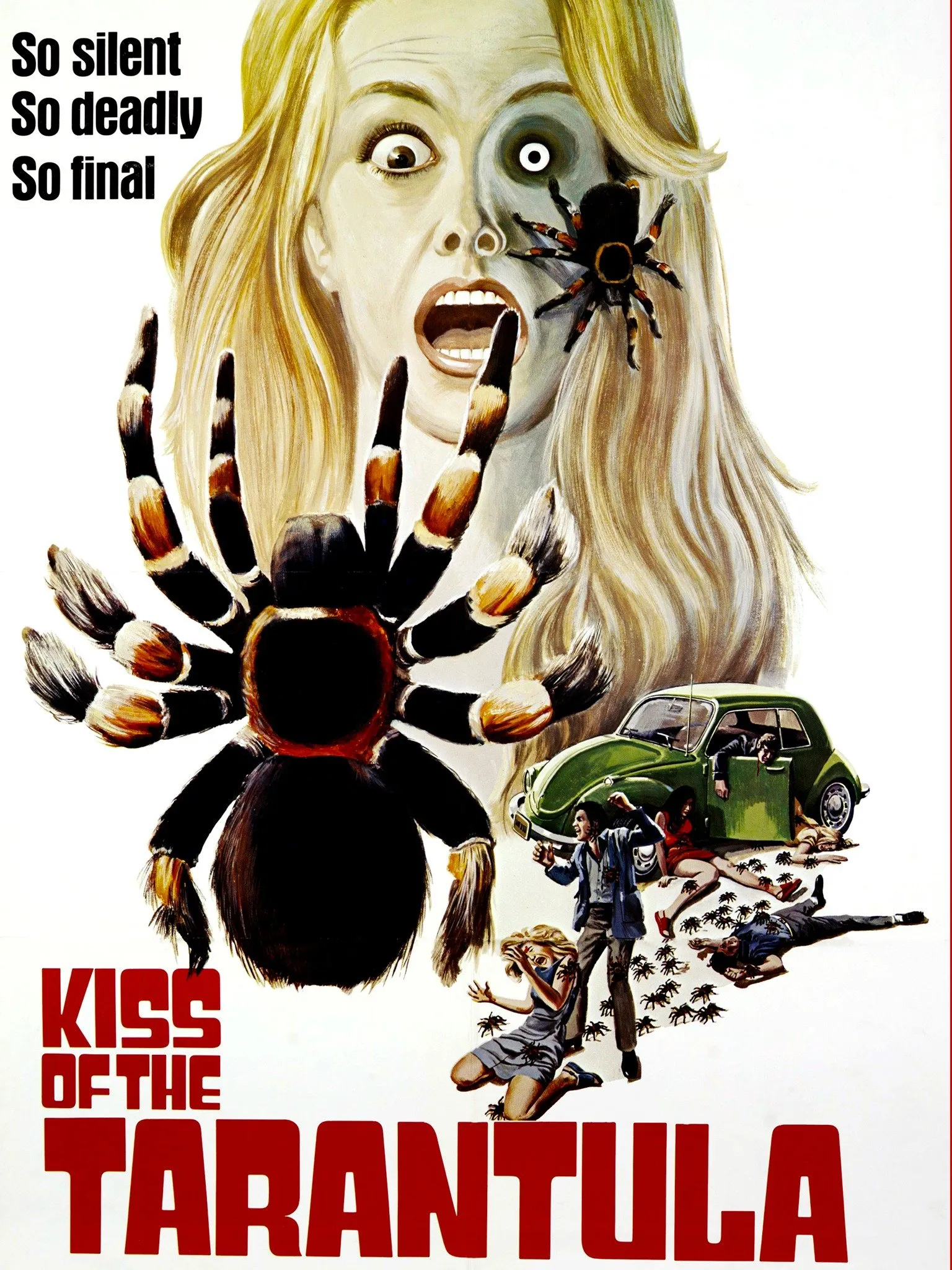 /img/24165-tarantula-happy.webp