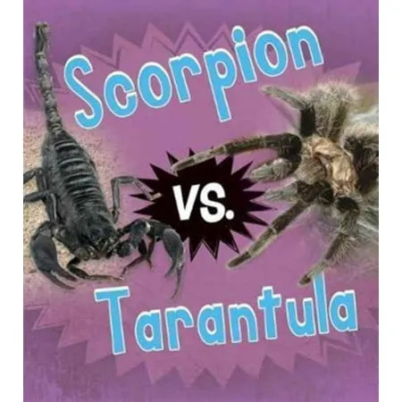 24188 scorpion feeding