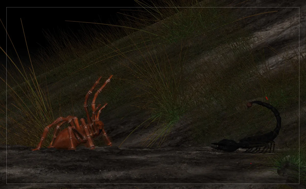 24188 scorpion habitat