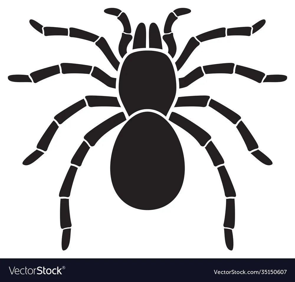 24189 protection tarantula