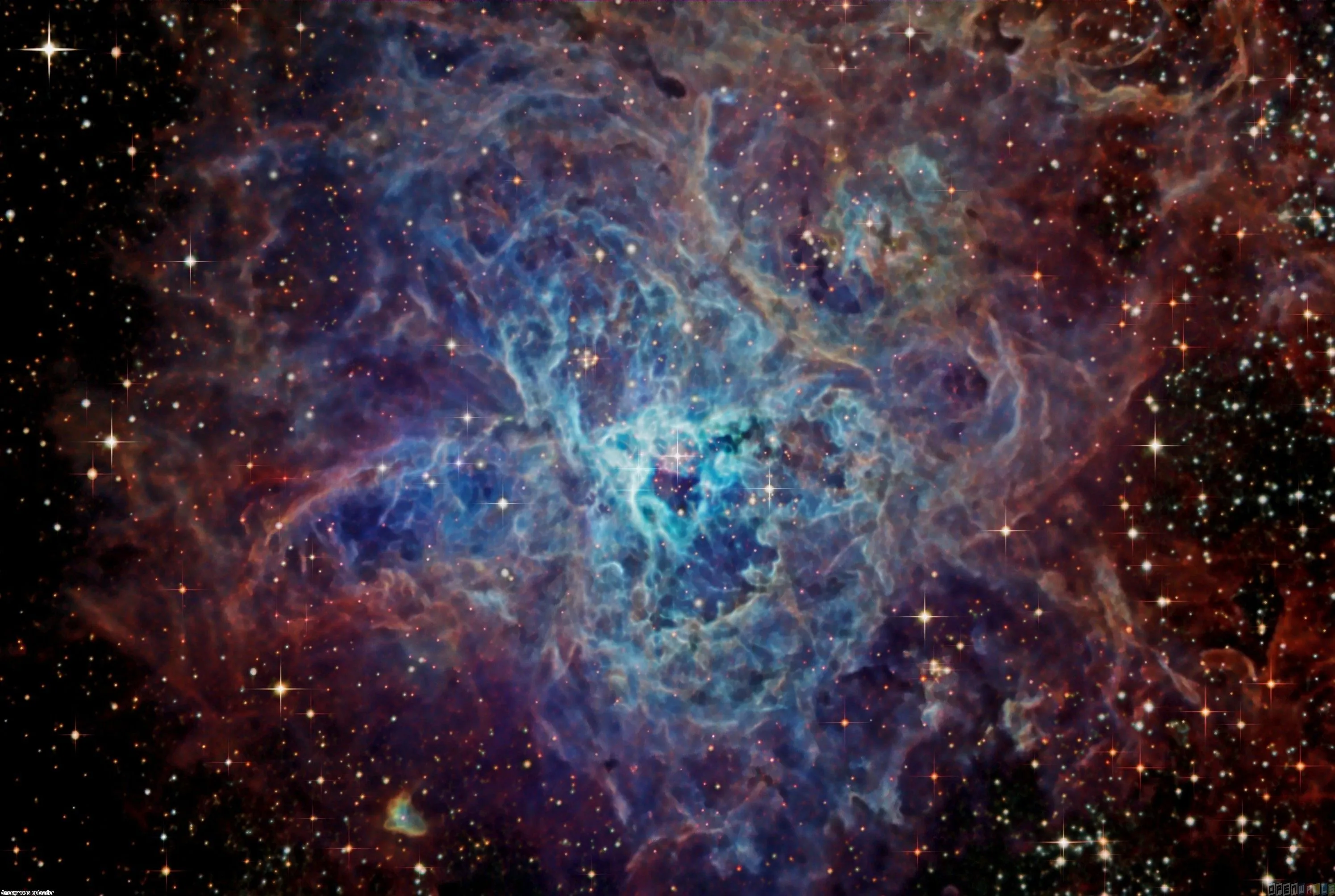 24216 tarantula nebula overview