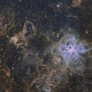 /img/24216-tarantula-nebula-wallpaper-optimization.webp