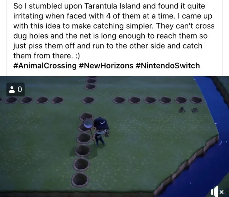 24217 acnh prepare for tarantula island