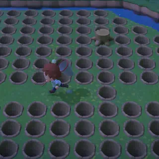 /img/24218-animal-crossing-tarantula-running.webp