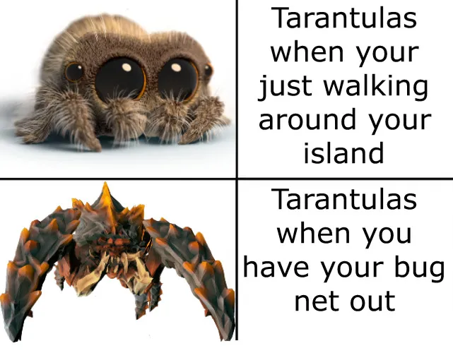 24218 animal crossing tarantula tips