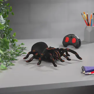 /img/24226-easy-to-use-remote-control-tarantula.webp