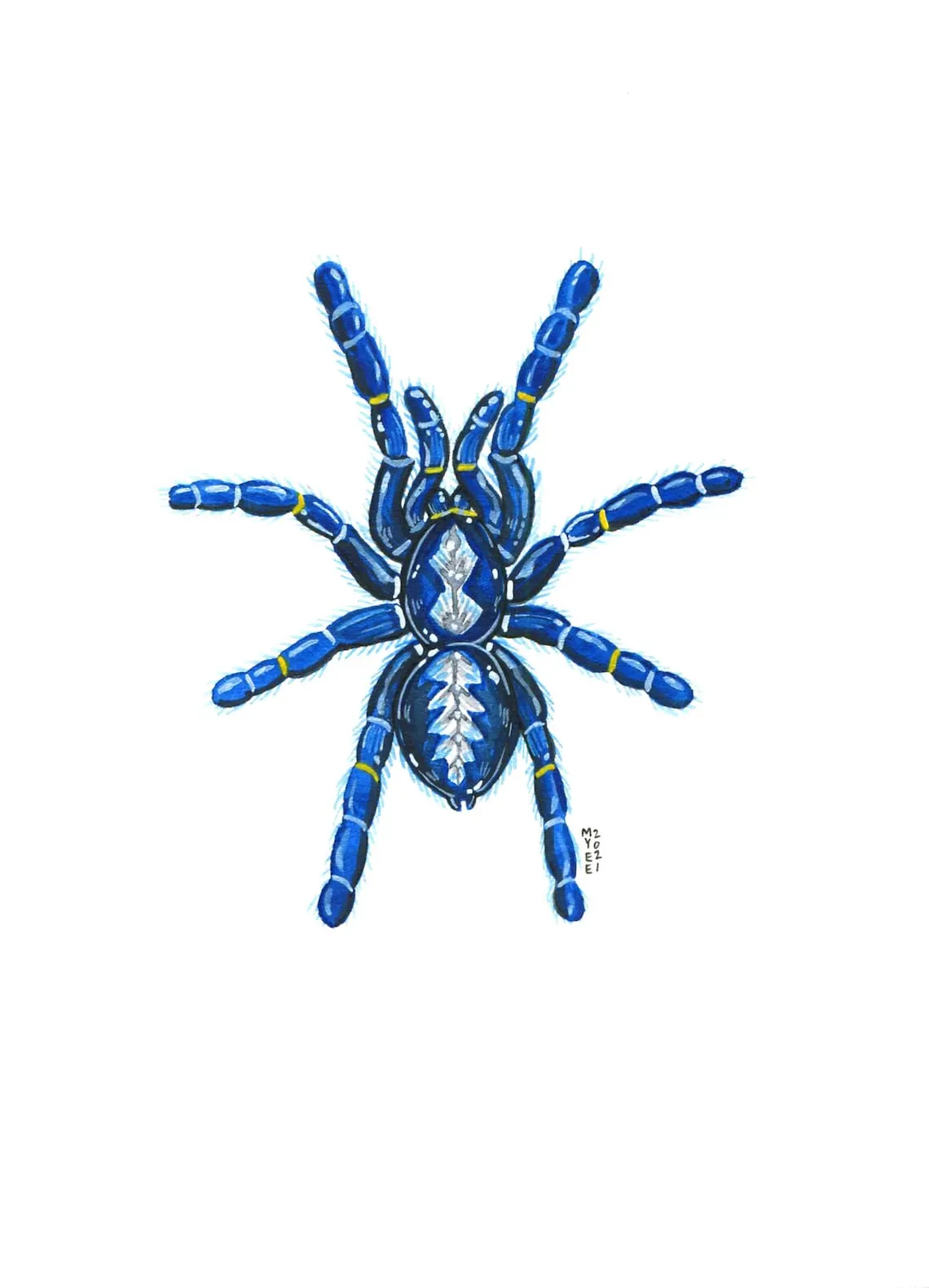 /img/24227-green-gooty-sapphire-tarantula-handling.webp