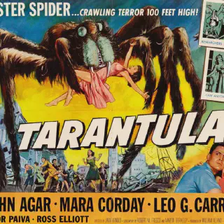 /img/24229-tarantula-cast.webp