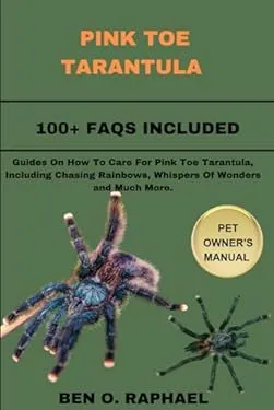 24231 pink toe tarantula handling