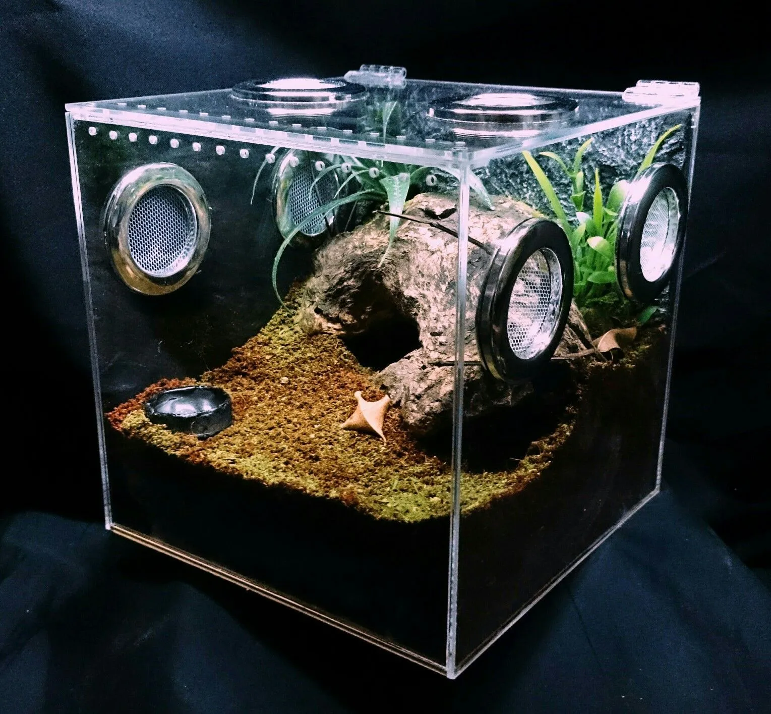 24239 acrylic tarantula enclosure