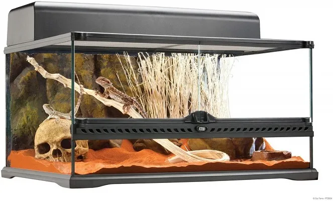 24239 glass tarantula enclosure