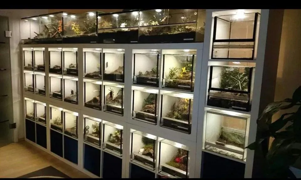 24239 tarantula enclosure substrate