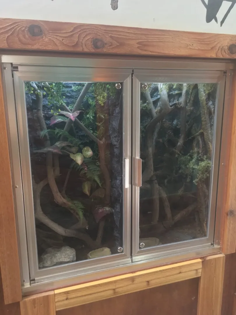 24239 tarantula enclosure ventilation