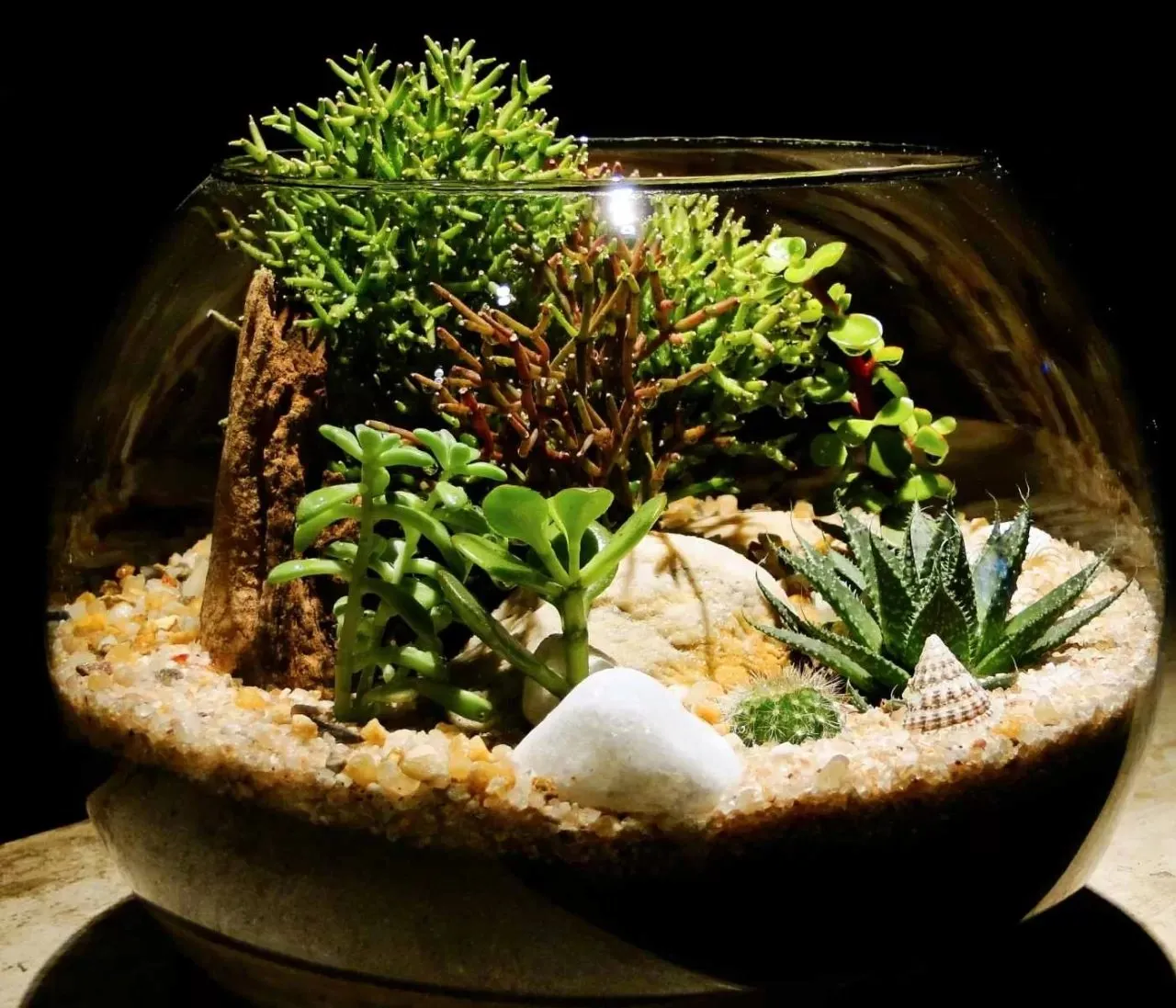 /img/24240-custom-tarantula-enclosure.webp
