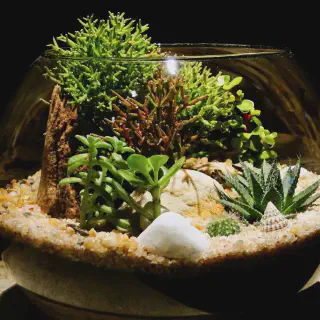 /img/24240-custom-tarantula-enclosure.webp