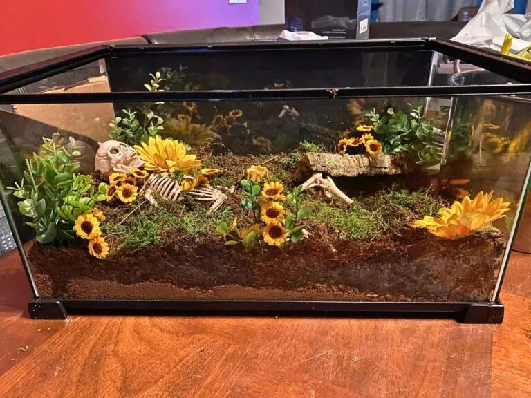 24240 exo terra glass terrarium