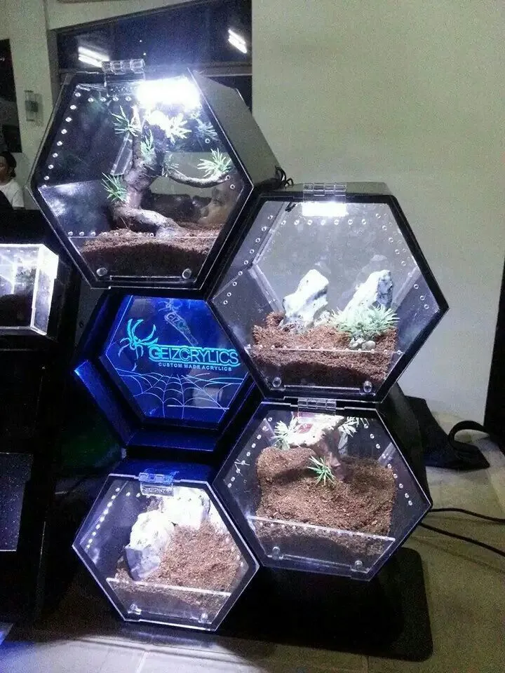 24240 tarantula webbing overview
