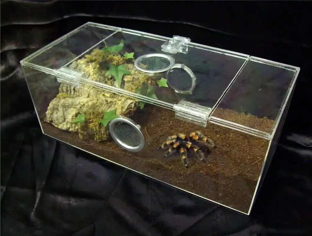 24240 zoo med spider habitat kit