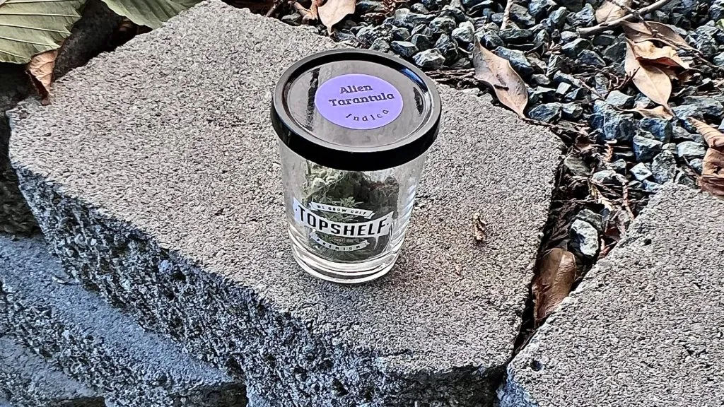 /img/24249-alien-tarantula-edibles.webp