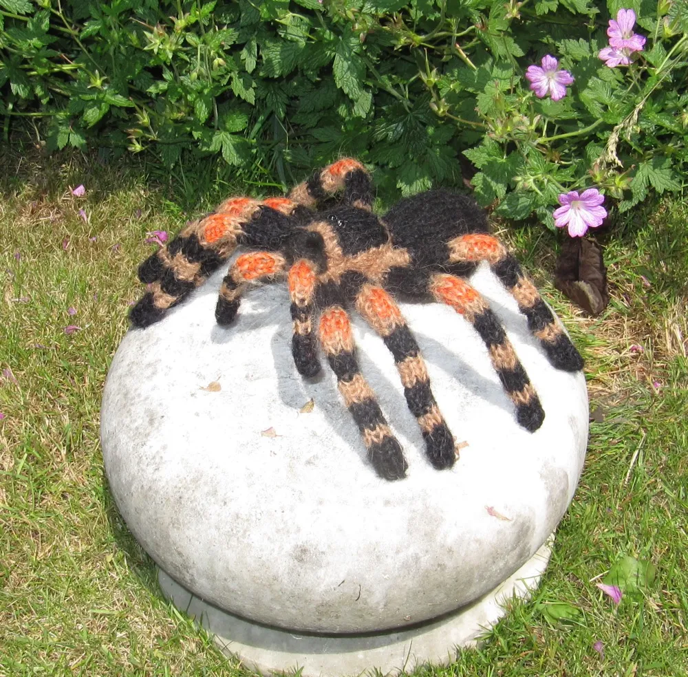 24259 tarantula water dish