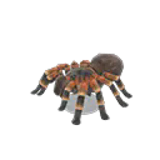 /img/24267-animal-crossing-tarantula-island.webp