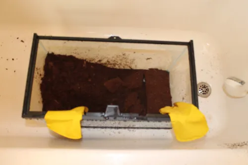 24282 tarantula tank cleaning substrate