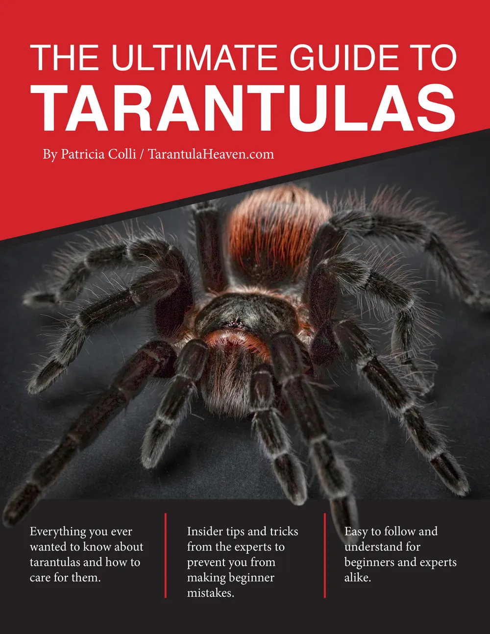 24289 tarantula enclosure