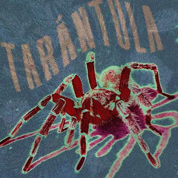 24292 tarantula song lyrics online