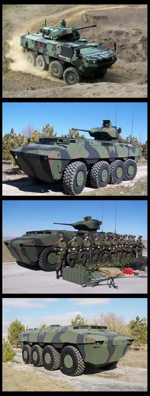 24302 tarantula weapon system