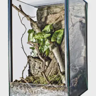 /img/24303-tarantula-enclosure-feeding.webp