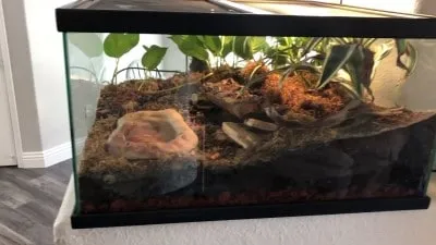 24303 tarantula enclosure substrate