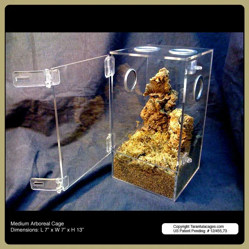 24308 tarantula cage feeding