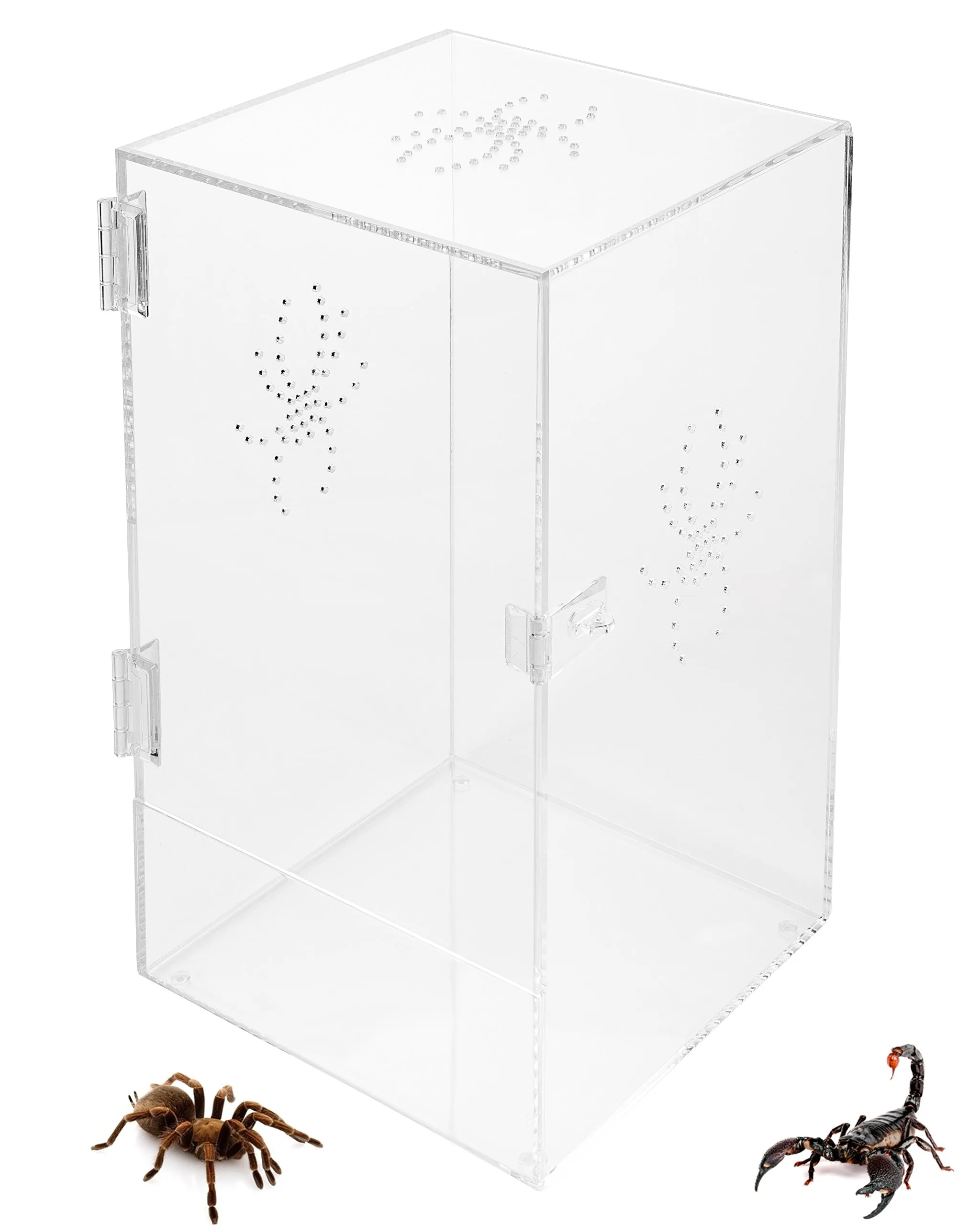 24308 tarantula cage size