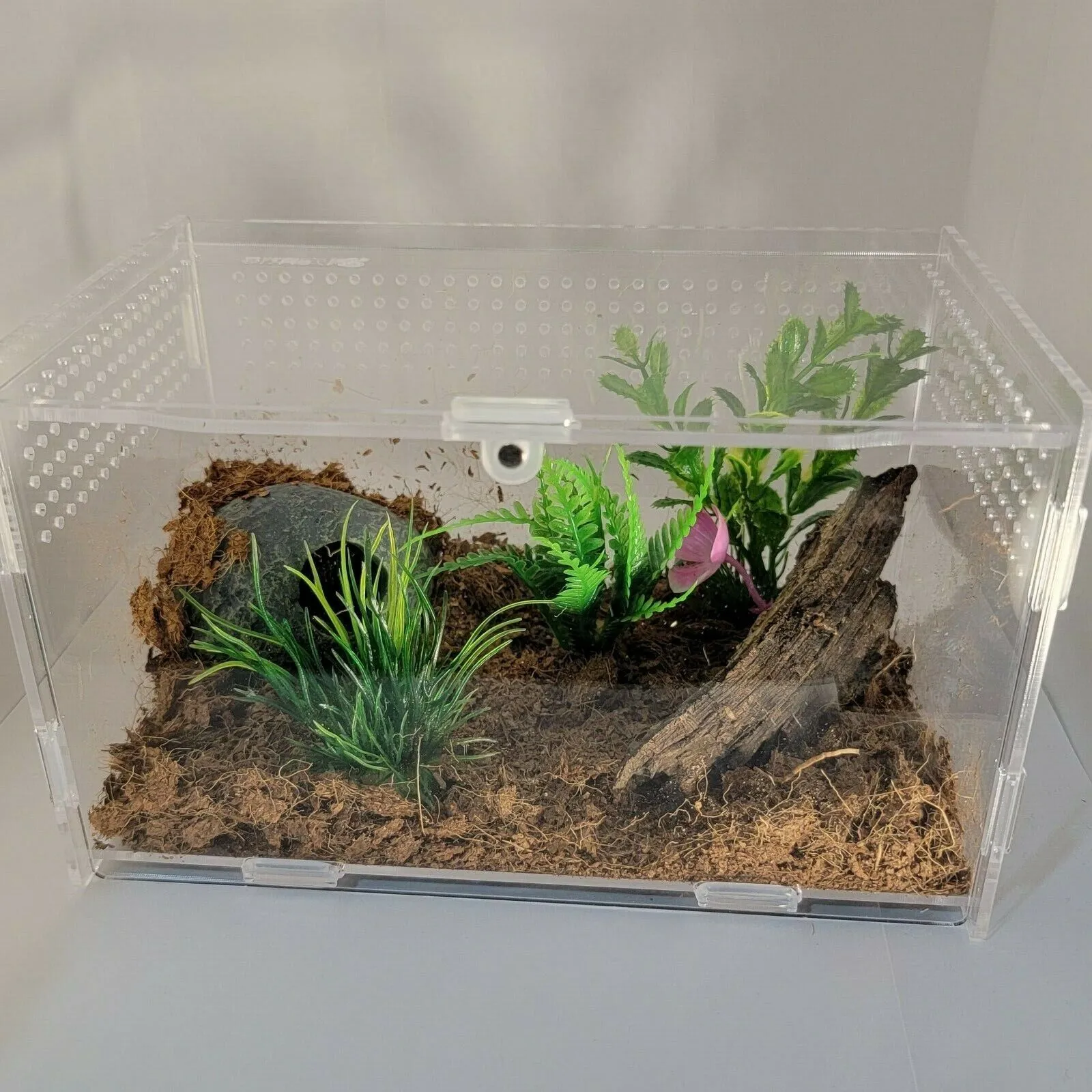/img/24308-tarantula-cage-types.webp