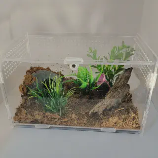 /img/24308-tarantula-cage-types.webp
