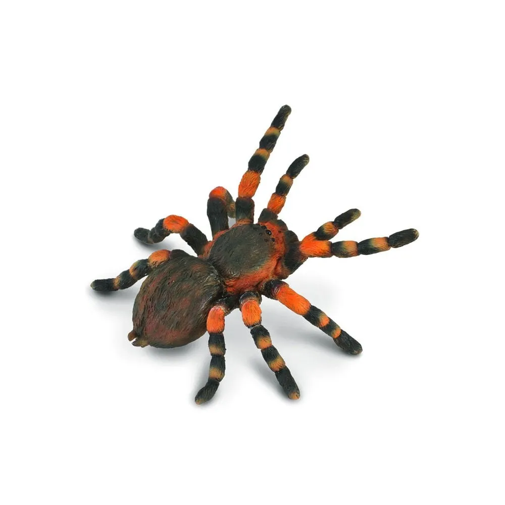24313 redknee tarantula sale uk 6
