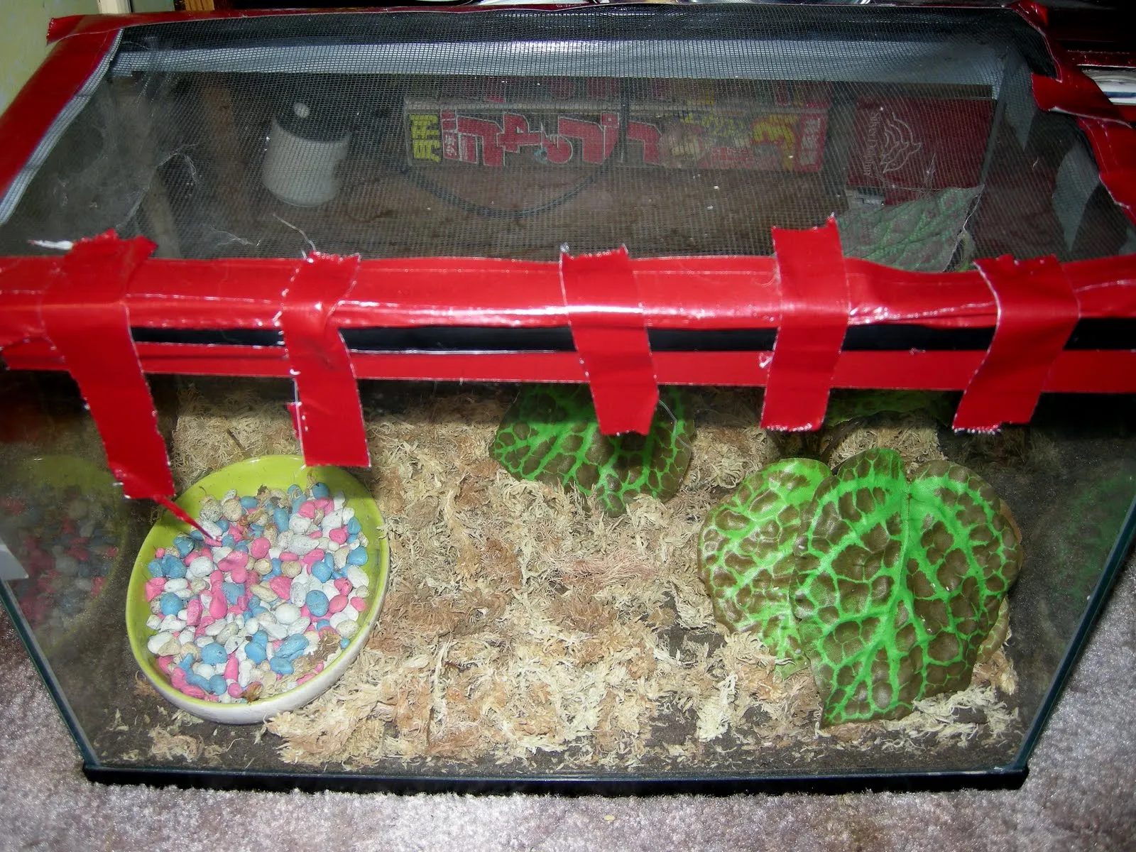 24318 tarantula ventilation
