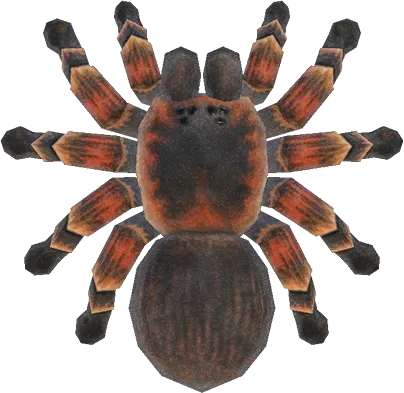 24329 animal crossing wild world tarantula behavior