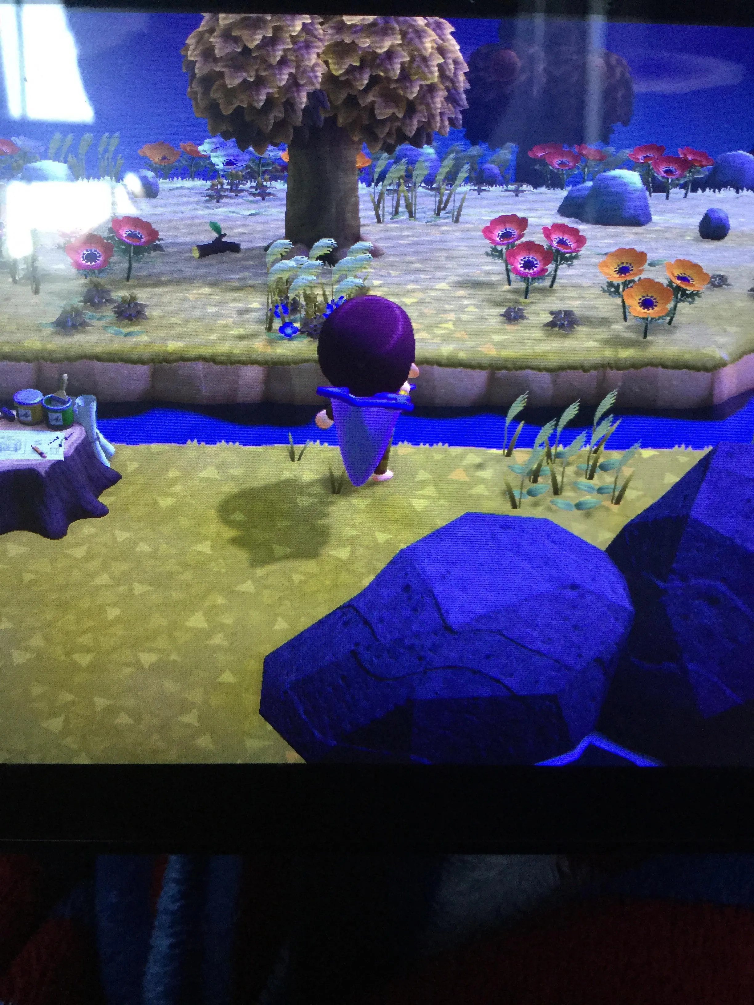 24329 animal crossing wild world tarantula farming