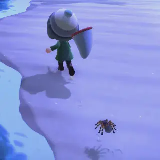 /img/24329-animal-crossing-wild-world-tarantula-time.webp