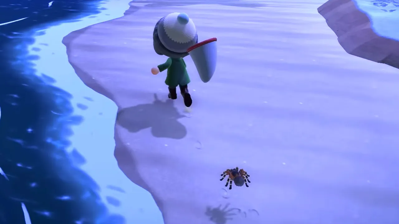 24331 tarantula selling nh